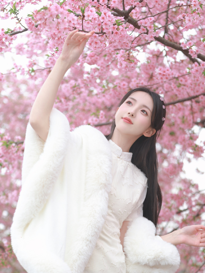 被嫌弃的松子的一生